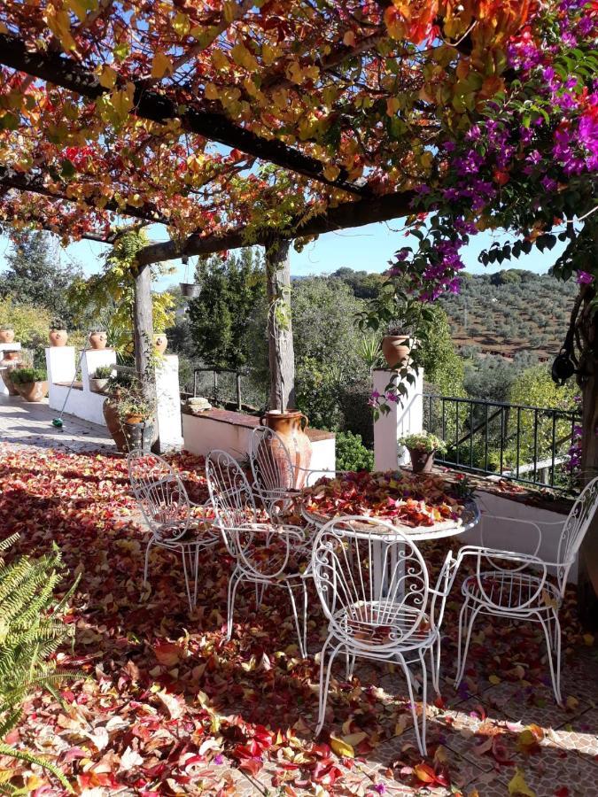 Villa Botero コンスタンティナ エクステリア 写真